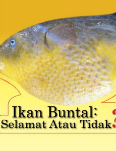 BKKM - Ikan Buntal. Selamat Atau Tidak? (Muka Belakang)